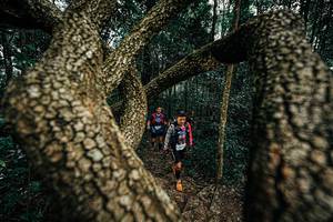 BIB: 
                            <button type="button" onclick="openModal(25393423)" class="btn btn-primary btn-sm float-right btn-popup" data-toggle="modal" data-target=".modal-high-quality">
                        <i class="fas fa-shopping-cart"></i> Add to Cart
                    </button>
                                            <button type="button" onclick="isThisMe(25393423, true)" class="btn btn-success btn-sm float-right btn-popup btn-isme hidden" data-toggle="tooltip" data-placement="bottom" title="นี่คือรูปของคุณใช่ไหม คลิกที่นี่เพื่อเอาเข้าอัลบั้ม">
                        <i class="fas fa-plus"></i> Add to album
                    </button>
                    <button type="button" onclick="isThisMe(25393423, false)" class="btn btn-warning btn-sm float-right btn-popup btn-isnotme hidden">
                        <i class="fas fa-ban"></i> Remove from album
                    </button>